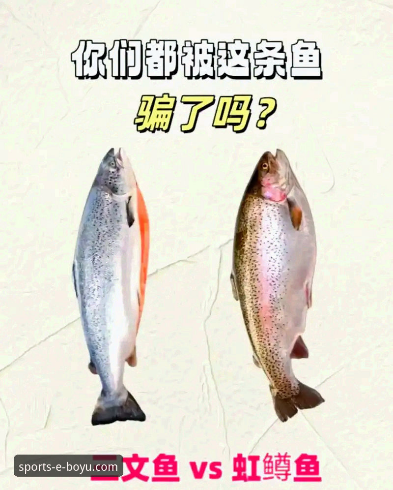 2026博鱼体育APK下载完整指南：从安装到使用的专业操作手册